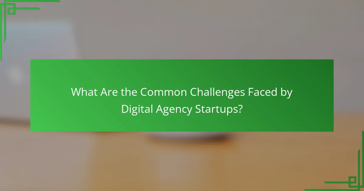 What Are the Common Challenges Faced by Digital Agency Startups?