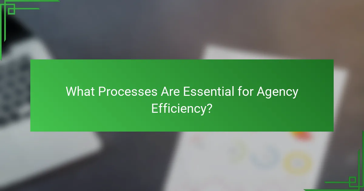 What Processes Are Essential for Agency Efficiency?